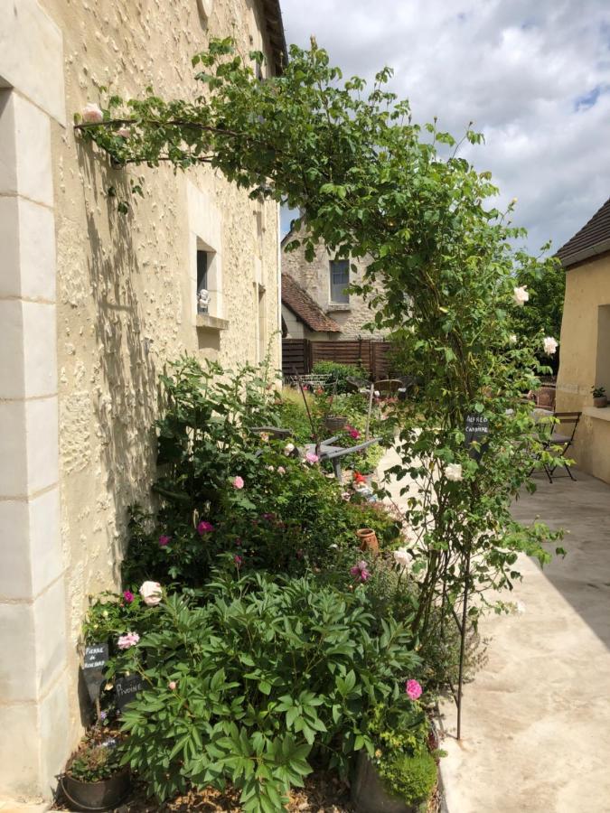 Les Chambres De L'Aigronne Le Petit-Pressigny Exterior foto